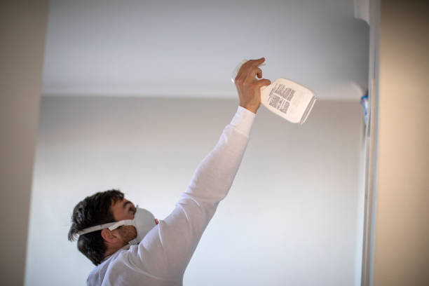 Best Toxic Mold Removal  in Belmond, IA